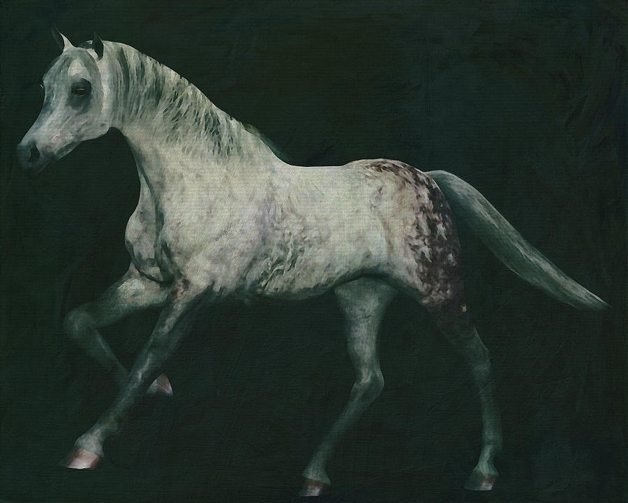 Horses -White horse doing dressage exercise #8 Painting by Jan Keteleer