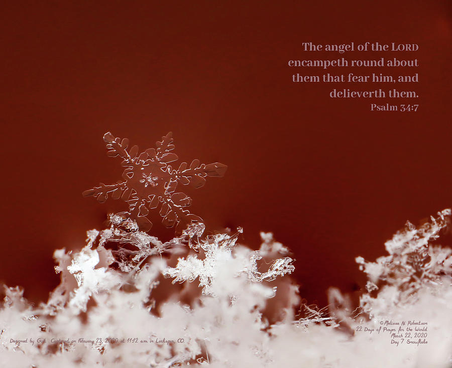 Inspirational Real Life Snowflake Photograph Bible Verse Scripture ...