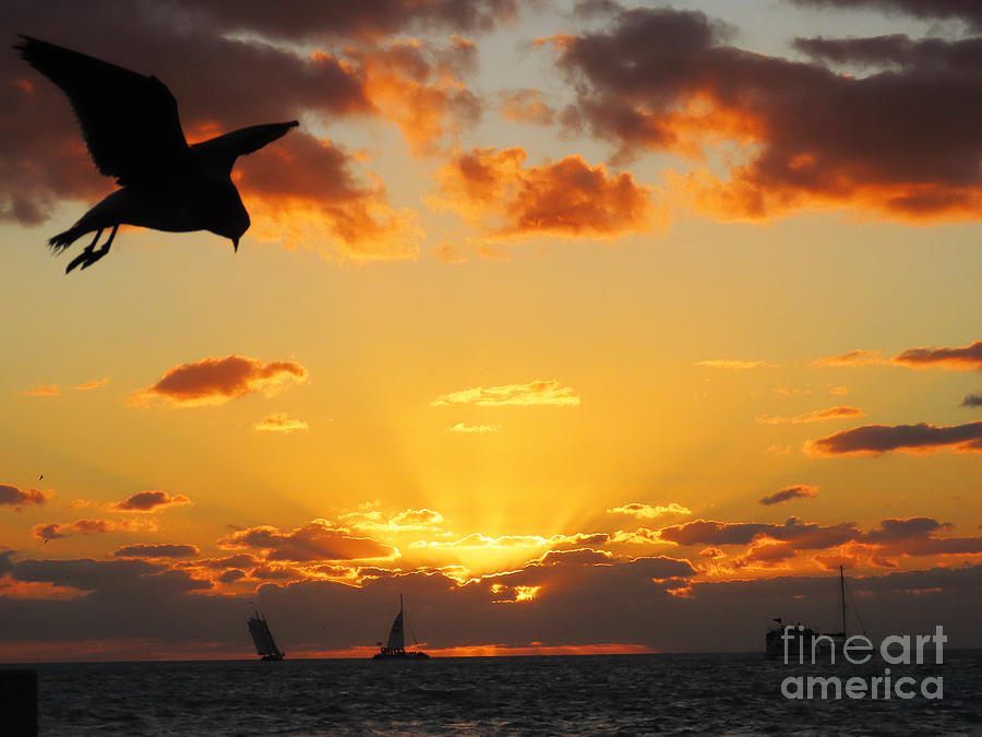 Key West Sunset  #8 Photograph by Steven Spak