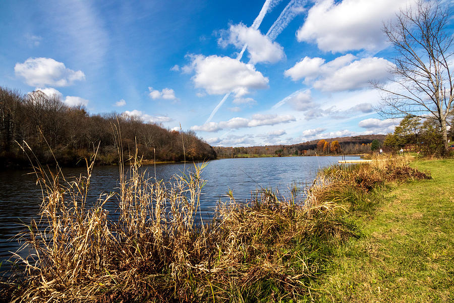 Lackawanna State Park #8 Photograph by David Kosik - Fine Art America