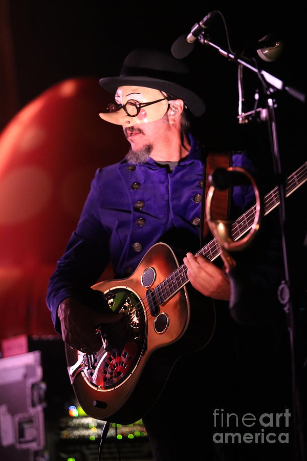 Les Claypool Primus Photograph By Concert Photos Fine Art America