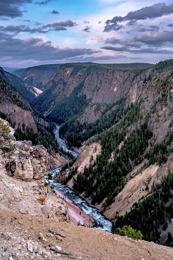 Lower falls of the yellowstone national park from artist point a #8 Photograph by Alex Grichenko