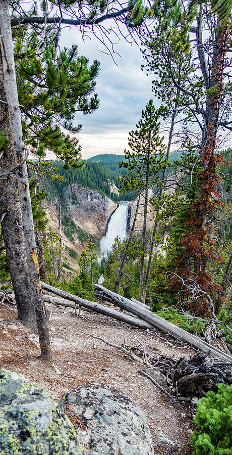 Lower Yellowstone Falls in the Yellowstone National Park  #8 Photograph by Alex Grichenko