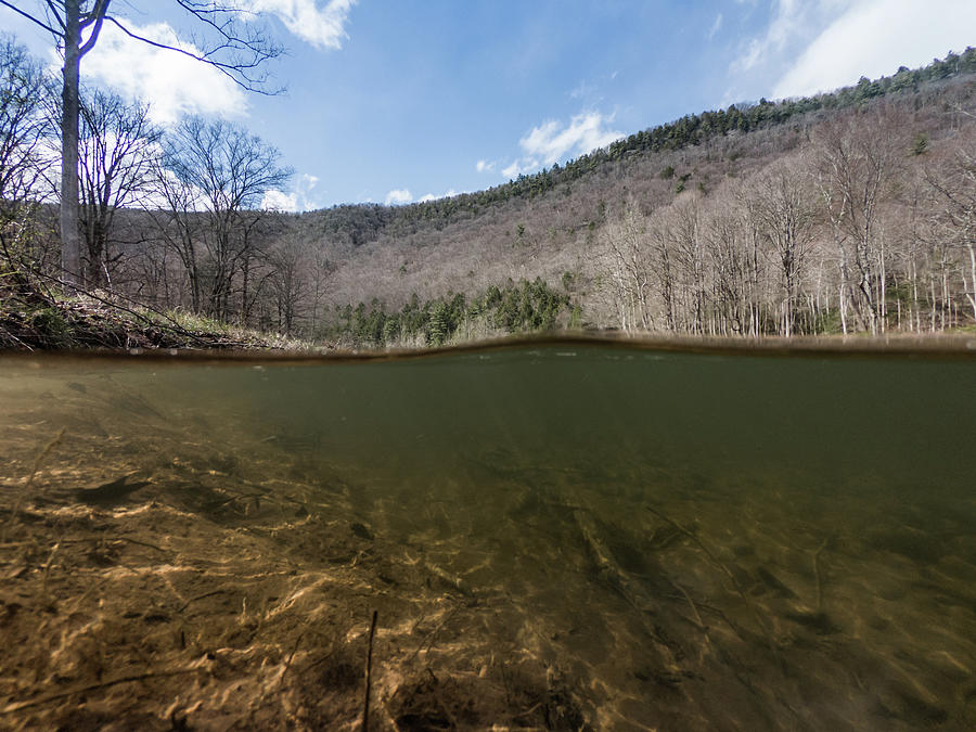 Loyalsock Creek Photograph by Michael Kinney Pixels