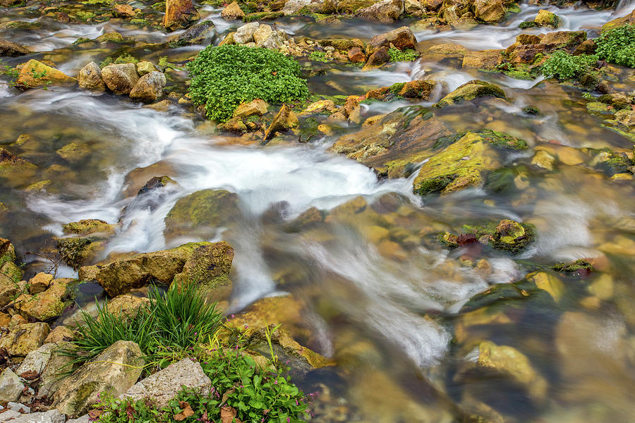 Maramec Springs Park Photograph by Michael Munster | Fine Art America