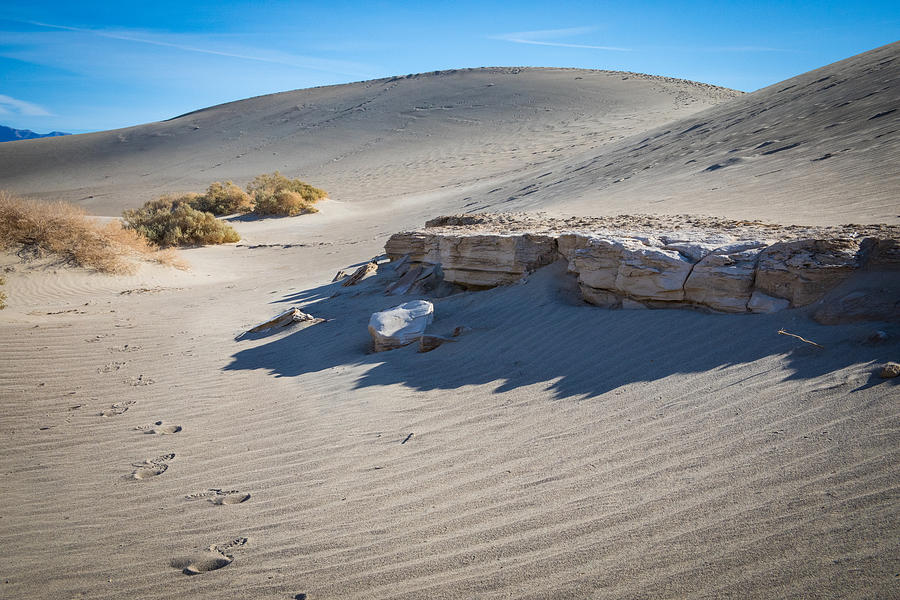 Mesquite Flat Sand Dunes #8 Photograph by Jonathan Babon
