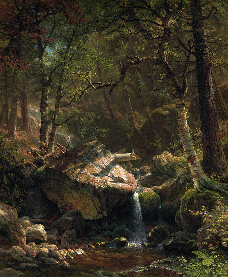 Tree Painting - Mountain Brook #8 by Albert Bierstadt