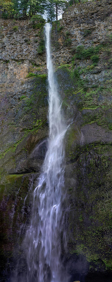 Multnomah Falls Oregon #8 Photograph by Tommy Farnsworth