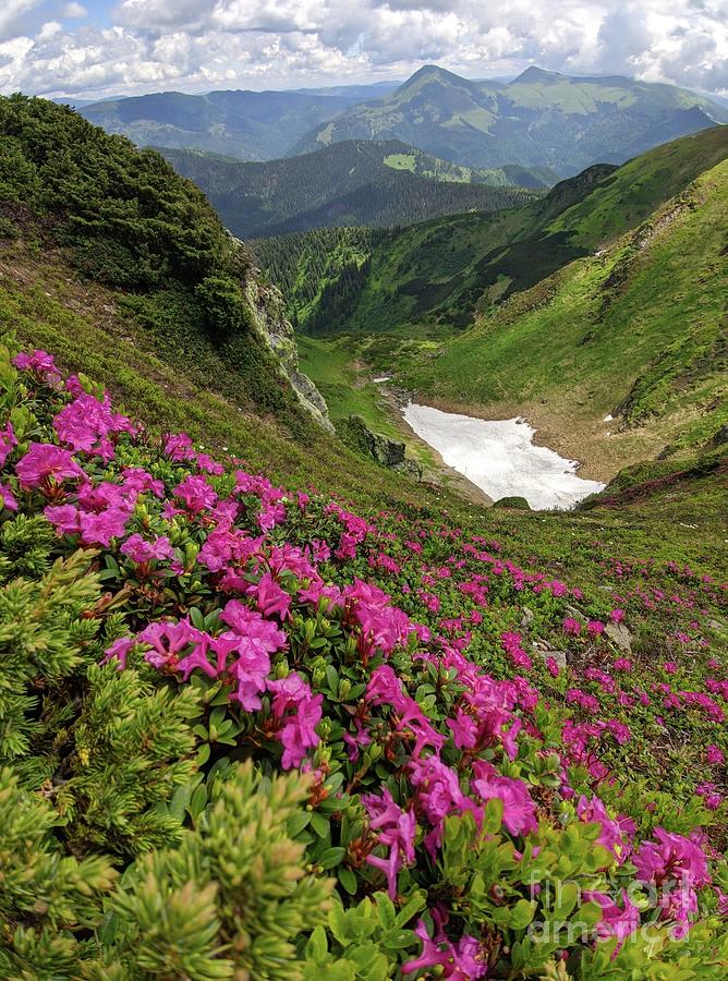 The beauty of the Carpathians Photograph by Julia Bernardes - Fine Art ...