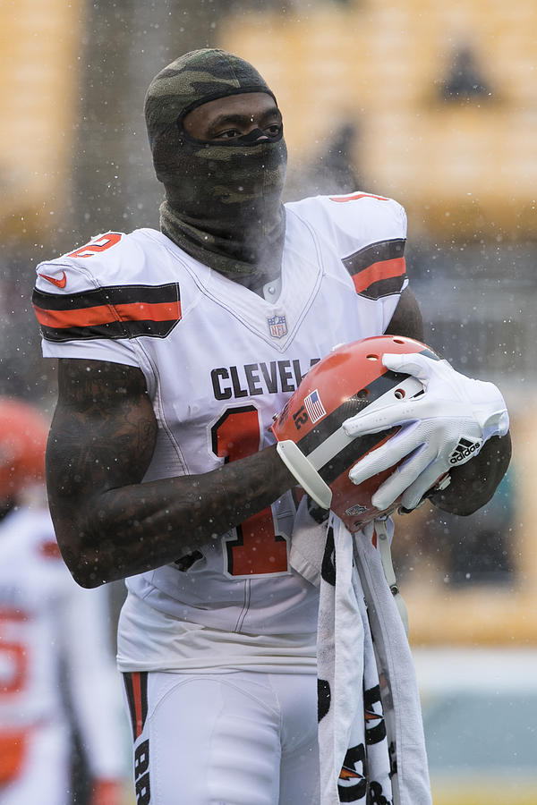 NFL: DEC 31 Browns at Steelers #8 Photograph by Icon Sportswire