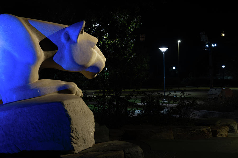 Nittany Lion Shrine at night at Penn State University #8 Photograph by Eldon McGraw