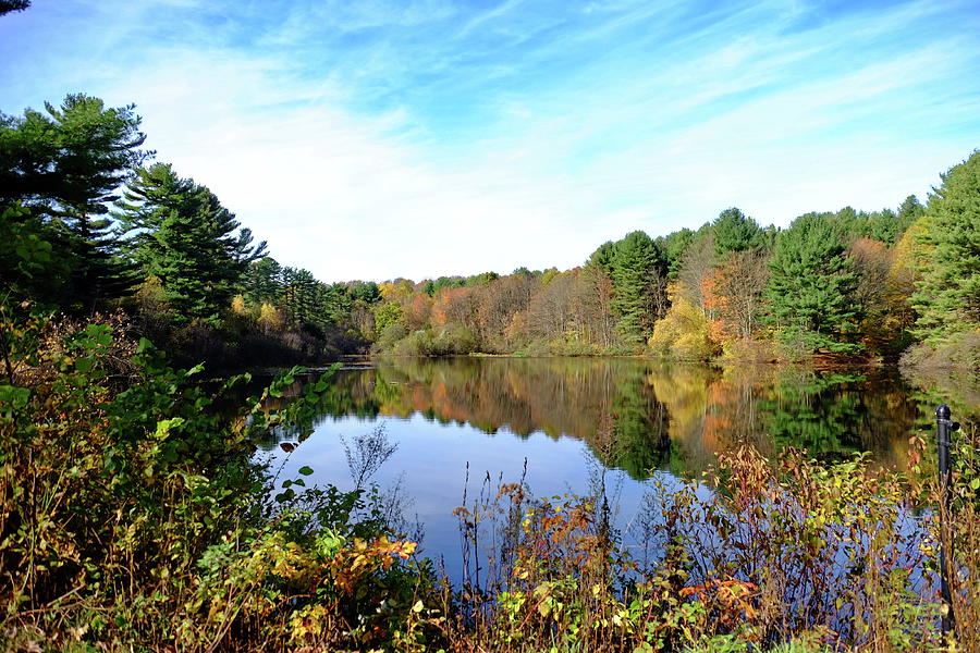 Pine Lake, Shelton CT Photograph by Thomas Henthorn - Fine Art America