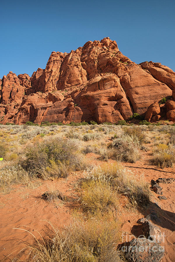 Snow Canyon State Park, Utah, United States, North America #8 Photograph by Amy Cicconi