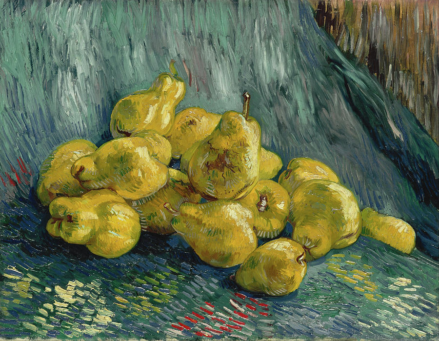 Still Life Painting - Still Life with Quinces #9 by Vincent van Gogh