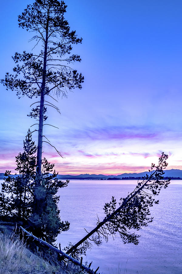 Sunrise over yellowstone lake in yellowstone national park #8 Photograph by Alex Grichenko