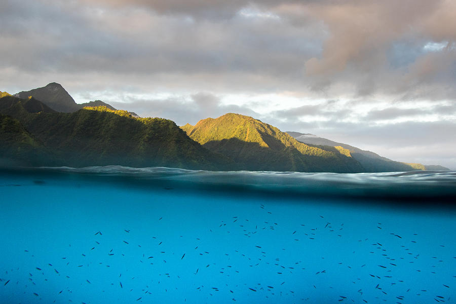 Tahiti #8 Photograph by Julian Schlosser Tahiti #8 Photograph by Julian Schlosser