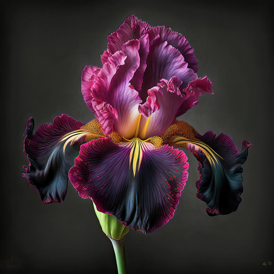 The Beauty of a Bearded Iris Digital Art by Debbi Friend - Artzy Antics ...