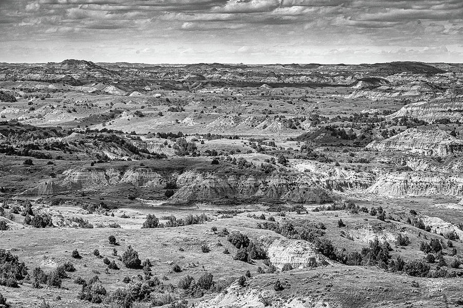 Theodore Roosevelt National Park Photograph by Gestalt Imagery | Pixels