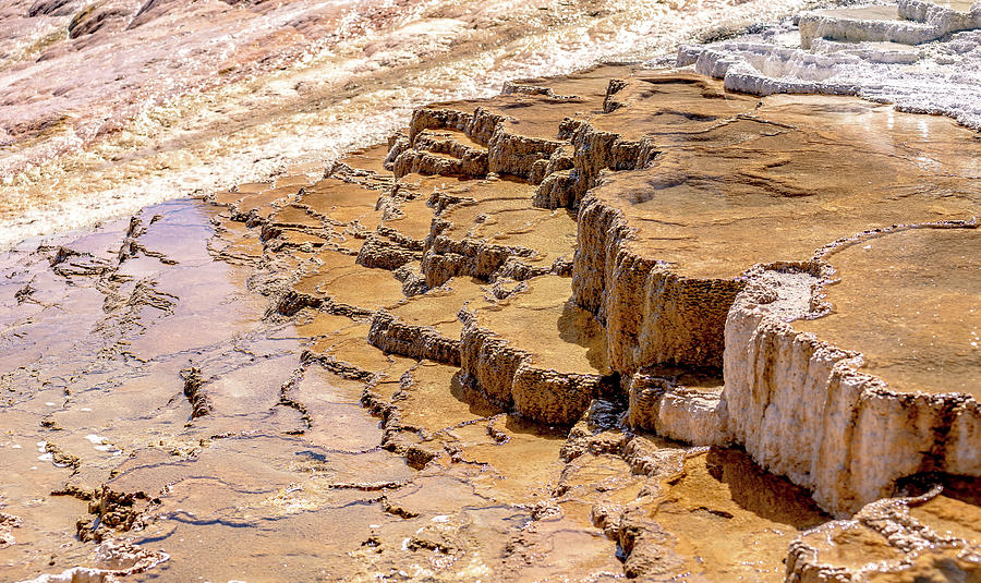 Travertine Terraces, Mammoth Hot Springs, Yellowstone #8 Photograph by Alex Grichenko