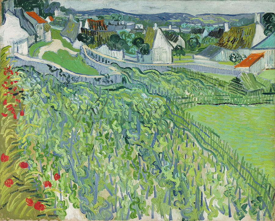 Vincent Van Gogh Painting - Vineyards at Auvers #8 by Vincent van Gogh