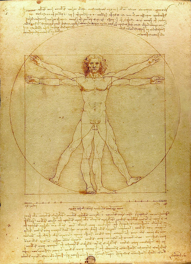 Vitruvian Man #8 Painting by Leonardo da Vinci