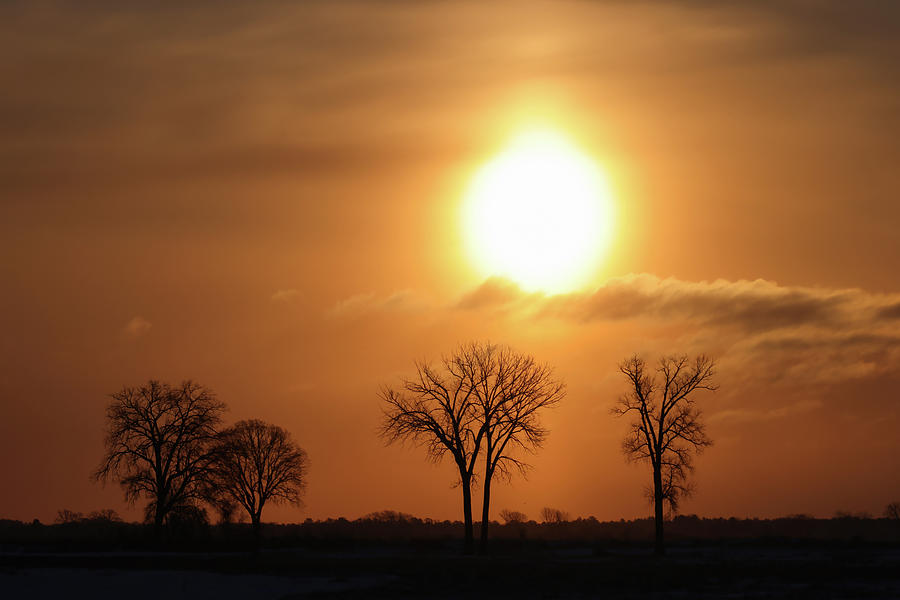 Winter Sunrise #8 Photograph by Brook Burling