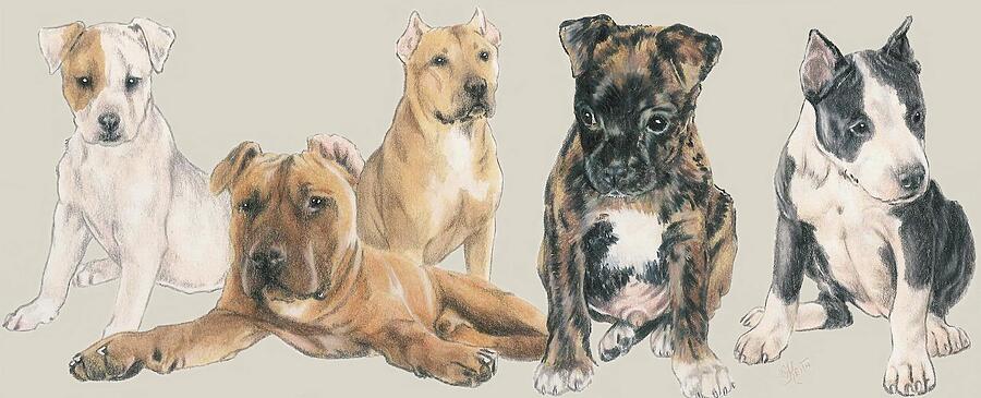 American Staffordshire Terrier Puppies  Mixed Media by Barbara Keith