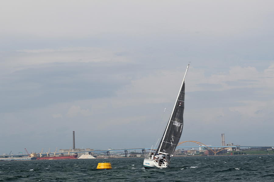 The race #81 Photograph by Jean Wolfrum