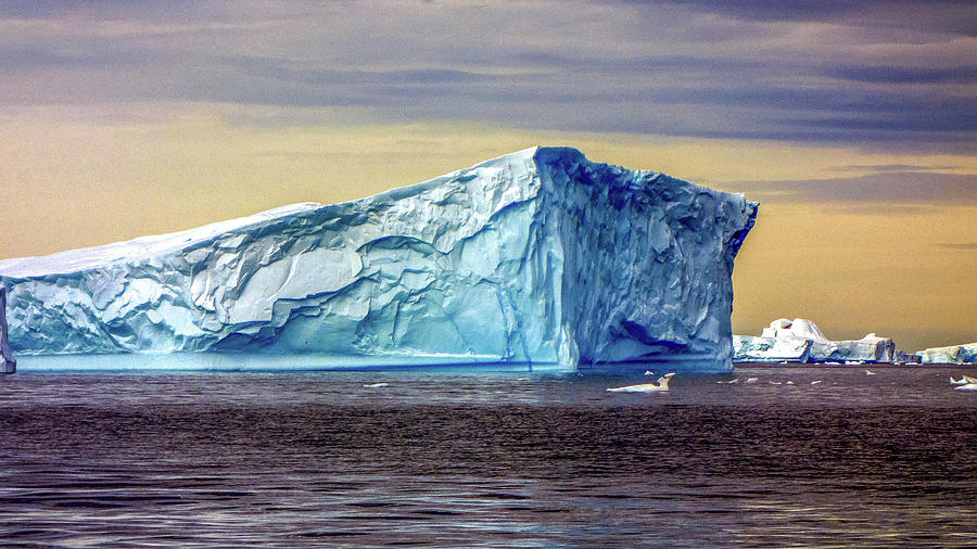 Antarctica #82 Photograph by Paul James Bannerman