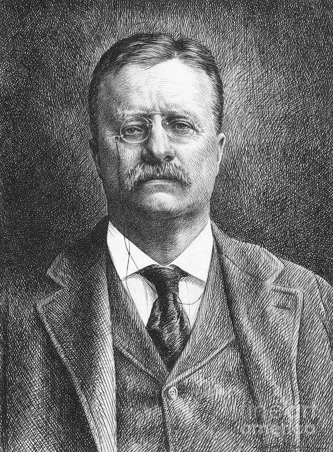 Theodore Roosevelt #84 Photograph by Granger