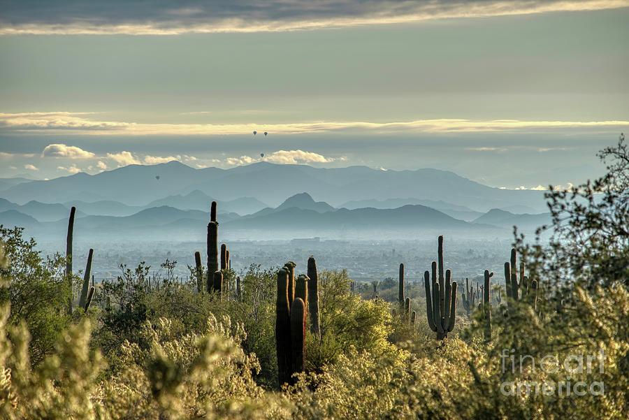 White Tank Mountain State Park Near Phoenix Arizona #82 Photograph by Kenneth Roberts