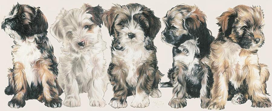 Lhasa Apso Puppies Mixed Media by Barbara Keith