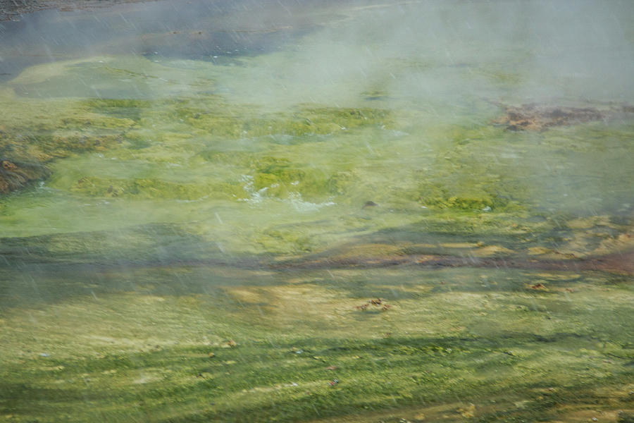 8b7642  Grand Prismatic Springs  steamy green Photograph by Stephen Parker