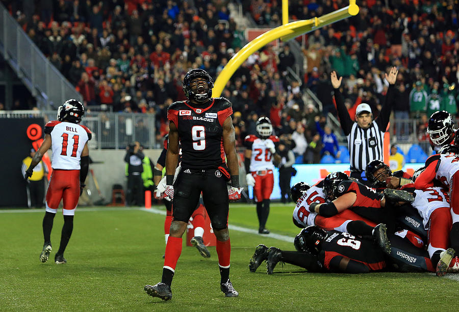 104th Grey Cup Championship Game #9 Photograph by Vaughn Ridley