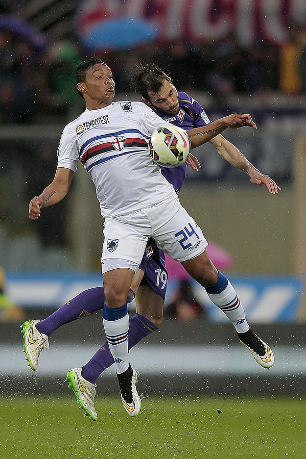 ACF Fiorentina v UC Sampdoria - Serie A #9 Photograph by Gabriele Maltinti