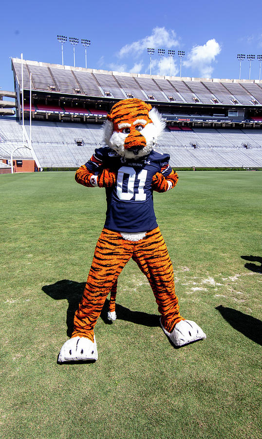 Aubie the Tiger at Auburn University Photograph by Eldon McGraw