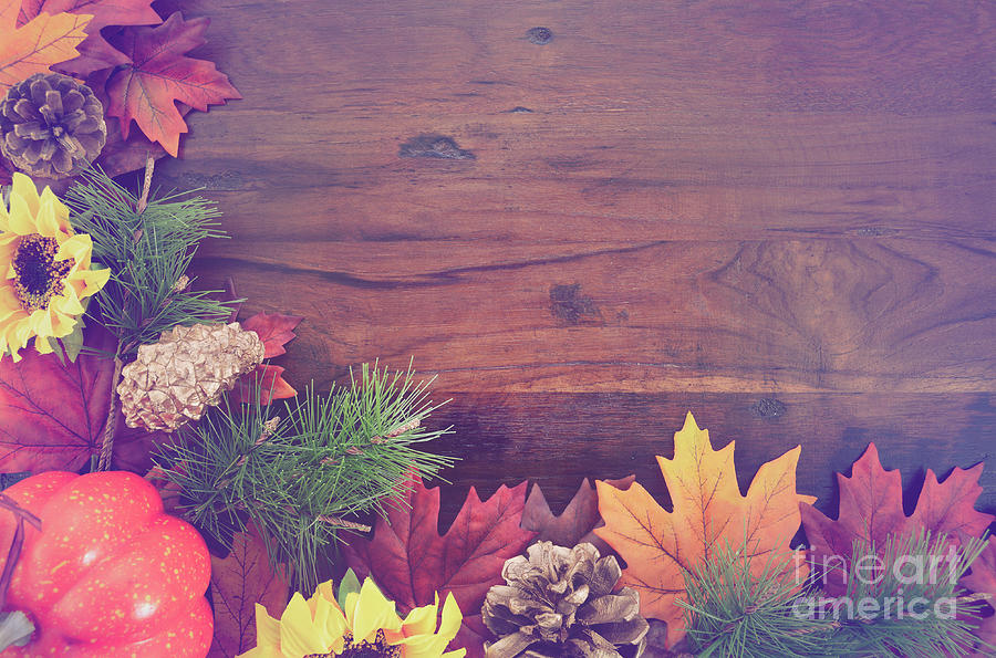 Autumn Fall Rustic Wood Background.  #9 Photograph by Milleflore Images
