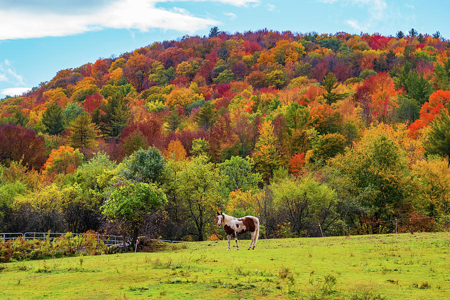 Autumn scene in Vermont #9 Photograph by Ann Moore