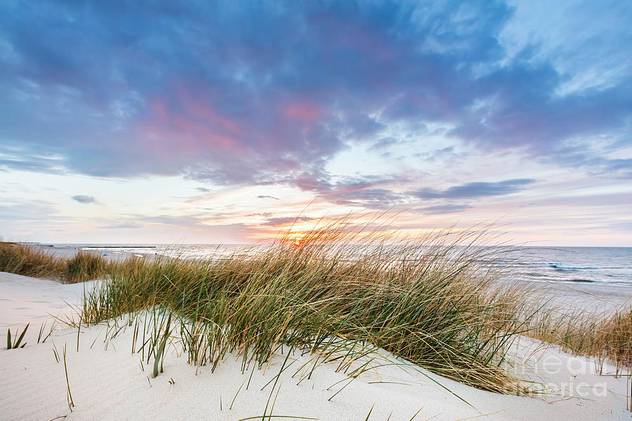 Beach grass on dune, Baltic sea at sunset #9 Photograph by Michal Bednarek
