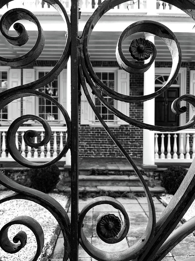 Charleston Wrought Iron Garden Gate in Detail, South Carolina #9 Photograph by Dawna Moore Photography