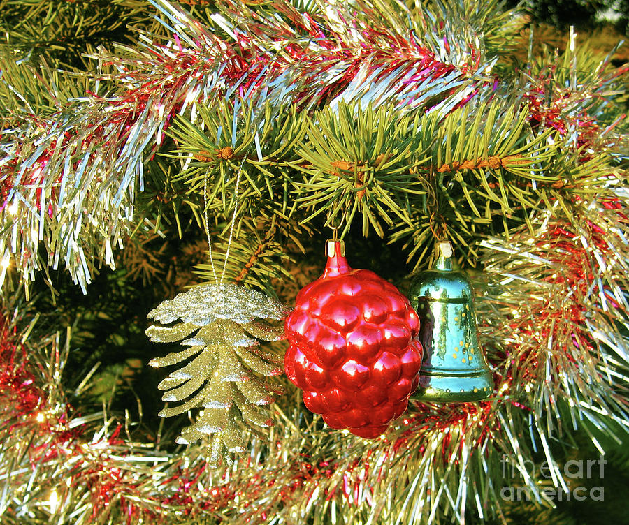 Christmas decorations #9 Photograph by Irina Afonskaya