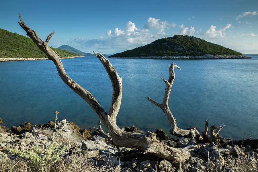 Cunski beach and coastline, Losinj Island, Croatia #9 Photograph by Ian Middleton