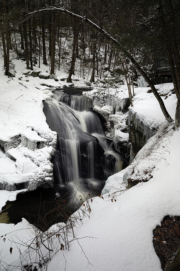 Ender's Winter Wonderland Photograph by Simmie Reagor - Fine Art America