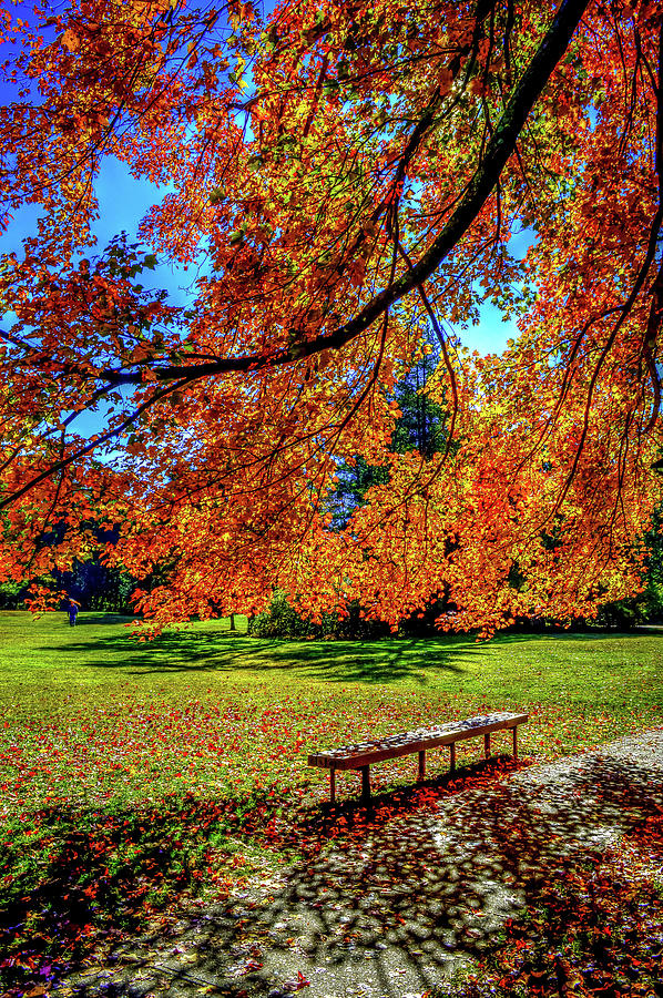 Fall Foliage Massachusetts USA #9 Photograph by Paul James Bannerman