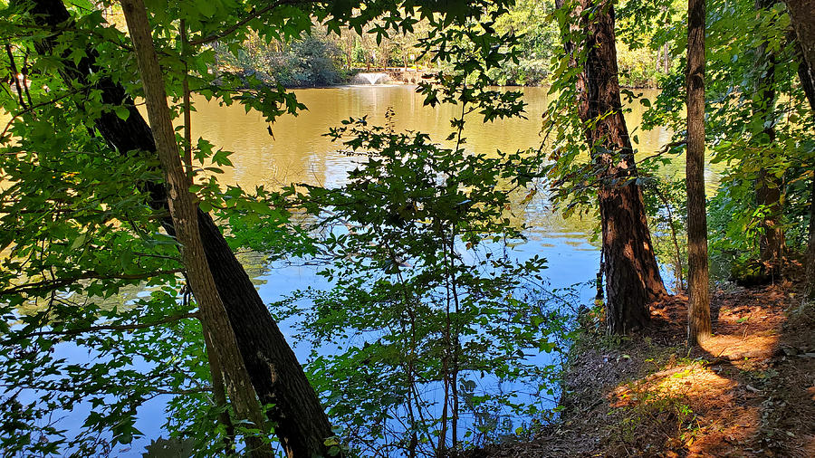 Georgetown Lake Park #9 Photograph by Kenny Glover