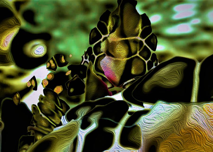 Golden Turtle 8 Digital Art by Aldane Wynter