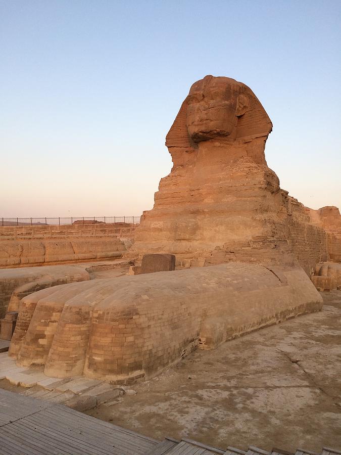 Great Sphinx #9 Photograph by Trevor Grassi