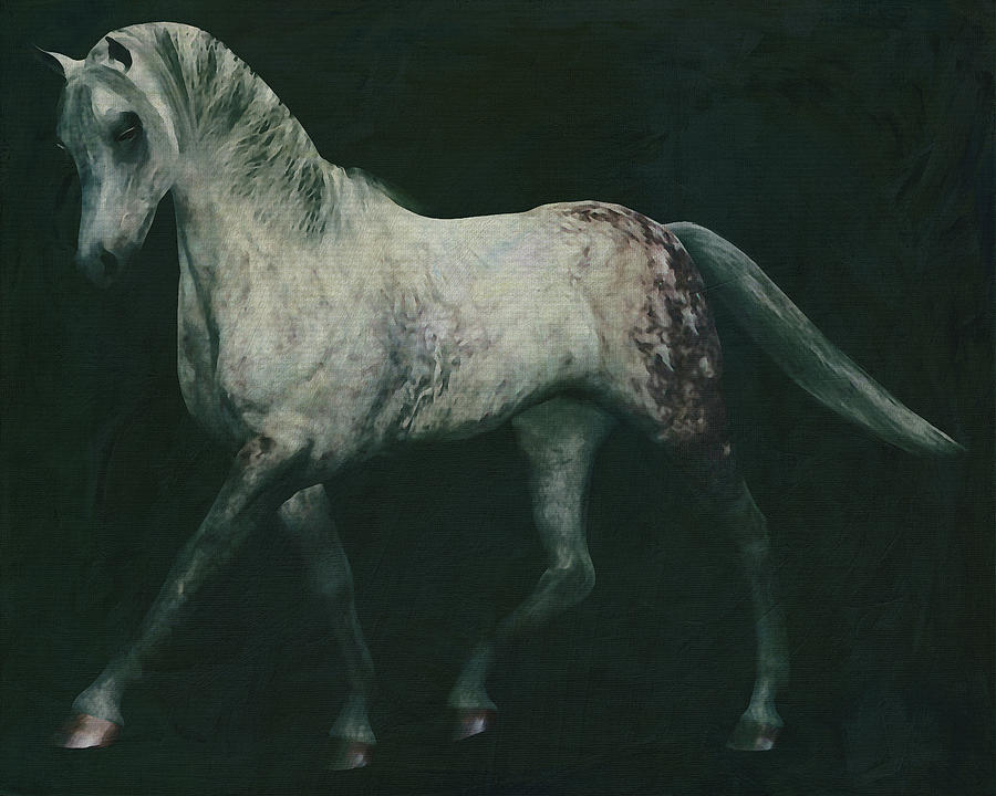 Horses -White horse doing dressage exercise #9 Painting by Jan Keteleer