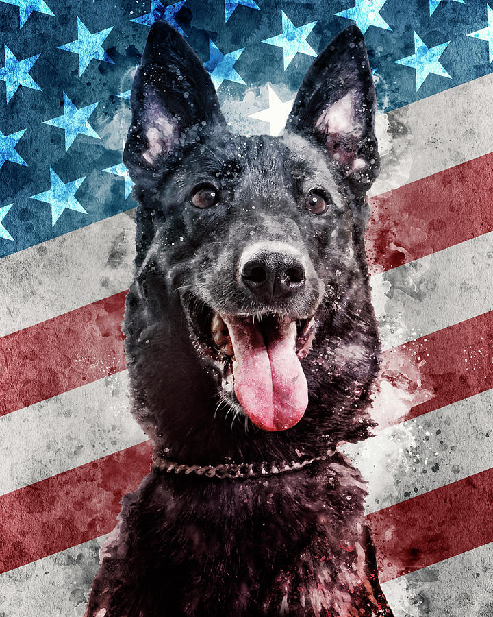 K9 Ivy - Sterling Heights PD #9 Digital Art by Lifework Productions