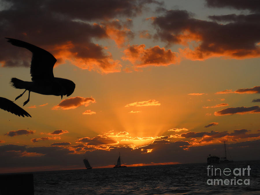 Key West Sunset  #9 Photograph by Steven Spak